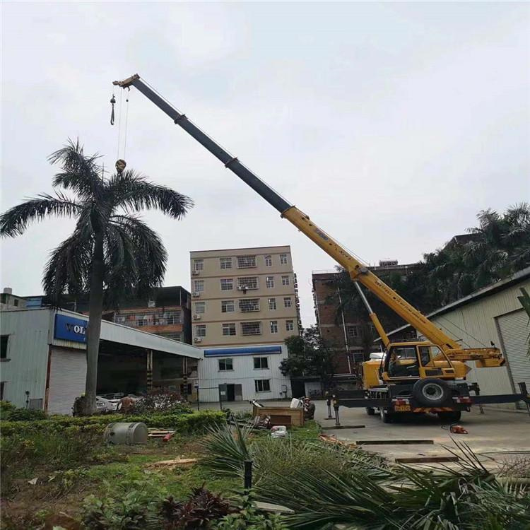 九真镇吊车出租押金纠纷案例：如何保障双方合法权益