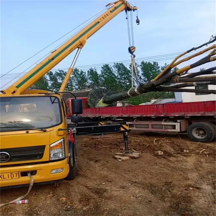 九真镇100吨吊车租赁费用怎么算？3大关键因素+省钱技巧全解析